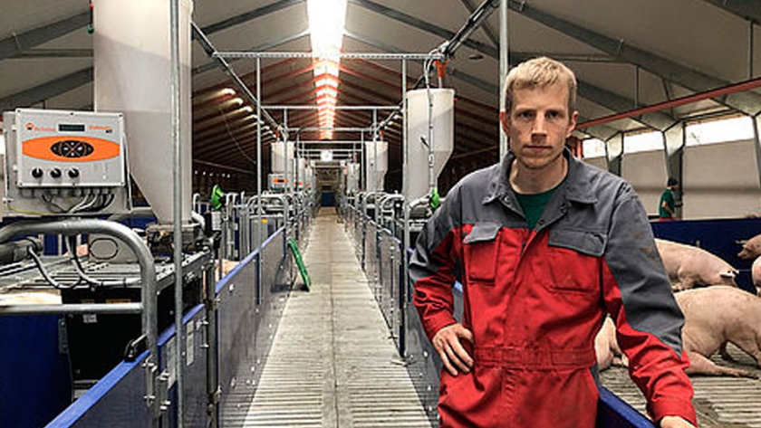 El sistema de alimentación a demanda adaptado a los animales CallMatic ofrece un abastecimiento individual y preciso para las cerdas