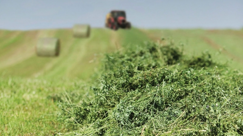 Exportaciones agroindustriales caen más del 30%, aunque algunos complejos salvan la ropa