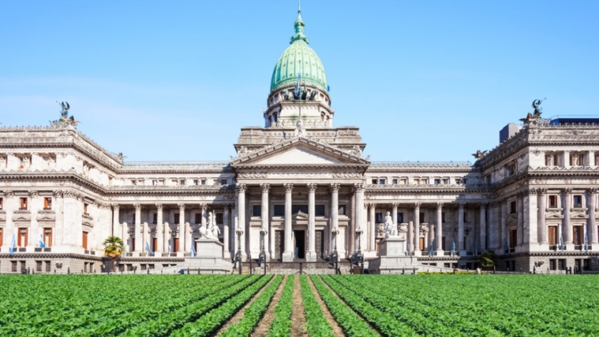 Solo el 4,1% de los proyectos en el Congreso se relacionan con el agro en el primer semestre del año