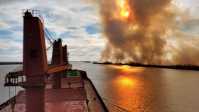 Avances del Comité de Emergencia Ambiental por los incendios en el delta del Paraná