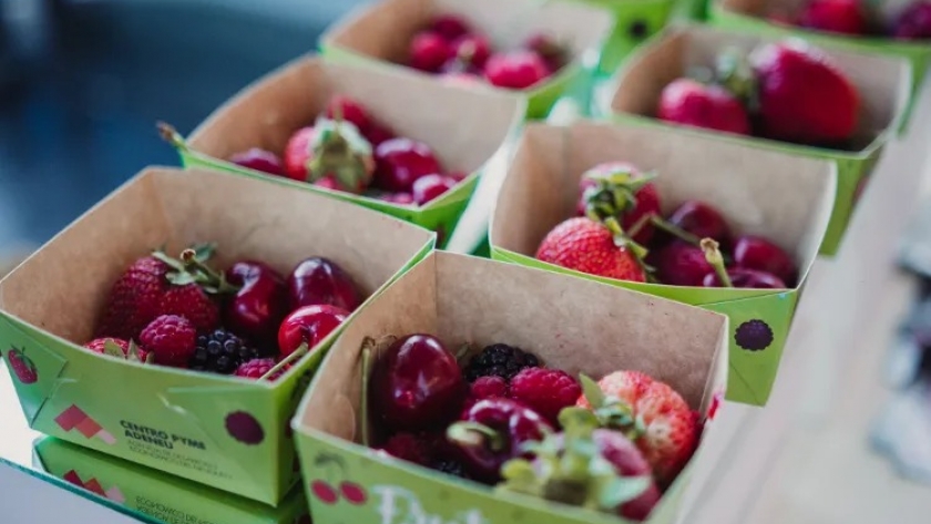 Una tranquila semana se espera para la producción frutícola