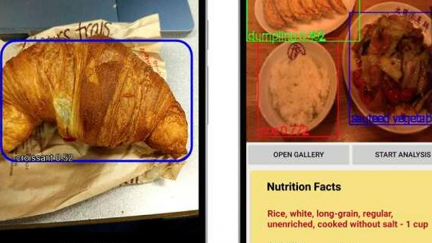 Foodtracker: una aplicación móvil de detección de alimentos con IA