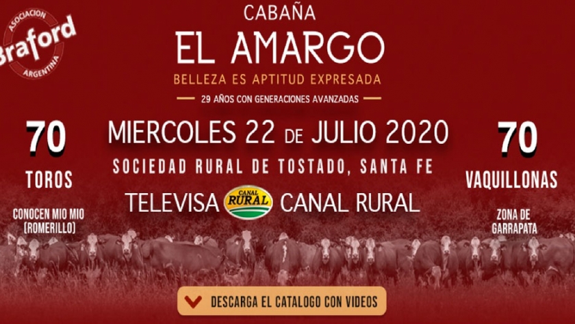 El Amargo, profeta en su tierra