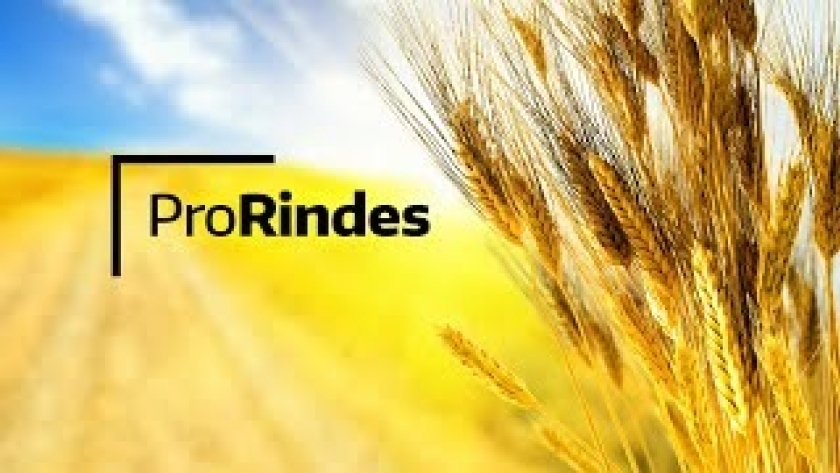 ProRindes: la herramienta para anticipar rendimientos de cultivos