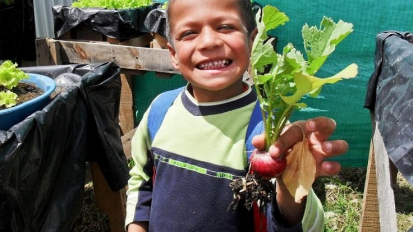Cada vez son más los consumidores conscientes y preocupados sobre el impacto de sus elecciones alimenticias en el ambiente