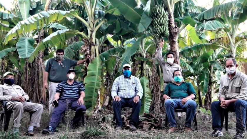 Bananeros: Estamos en una situación tan injusta como indigna