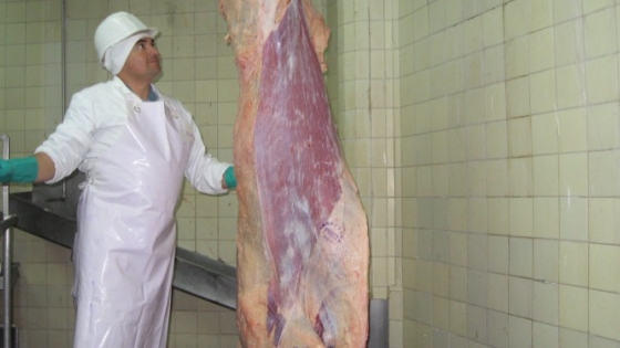 Frigoríficos: la menor faena golpea a las plantas de consumo