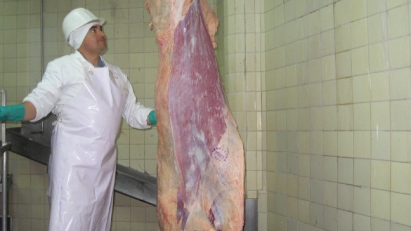 Frigoríficos: la menor faena golpea a las plantas de consumo