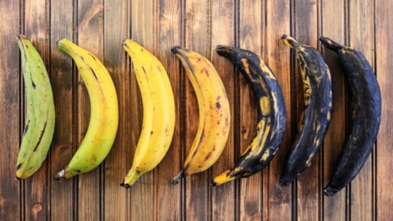 Marchitez del banano: el Fusarium R4T, una amenaza global para la seguridad alimentaria