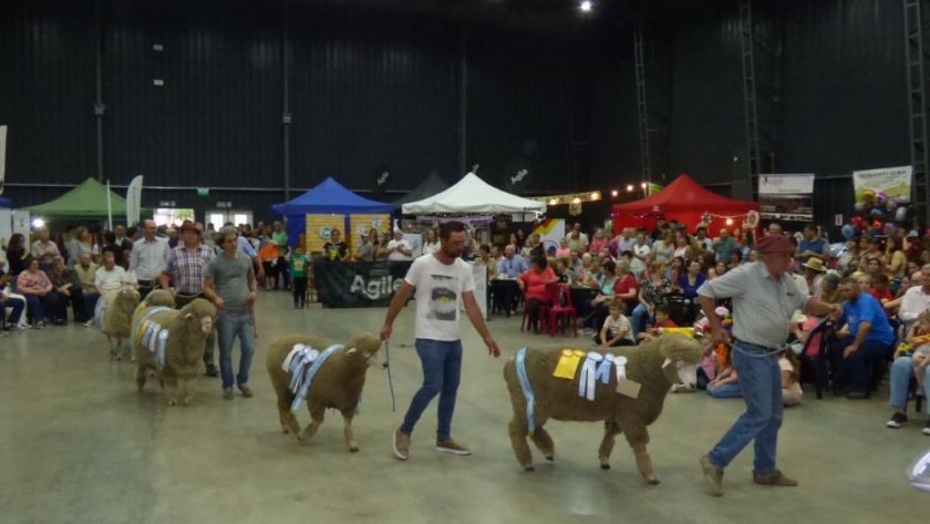 Gobierno acompañó la 18° Edición de la Expo Ovino en Alpachiri