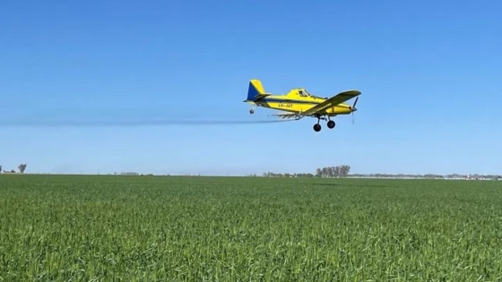 El avance de los drones pulverizadores abre un debate sobre la seguridad aérea en el campo.