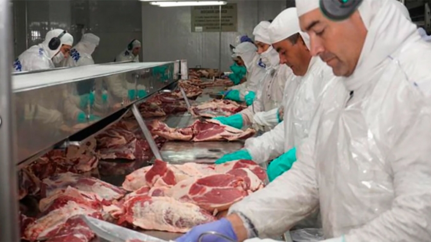 Carnes: Crecen las exportaciones pero no los ingresos