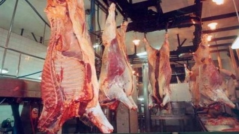 Carnes: Ley de Bases y Puntos de Partida para la Libertad de los Argentinos