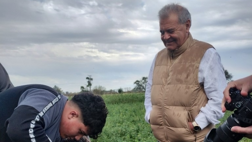 Marcos Juárez: plantan árboles como cortina forestal en el IPEA 209