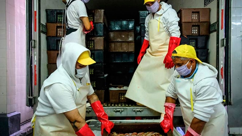 Plantas piden tener garantizada la provisión de materia prima