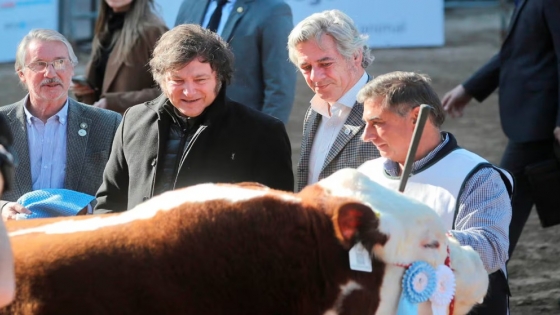 El campo se mostró sorprendido por el anuncio de Milei sobre las retenciones y reclamó mayor previsibilidad