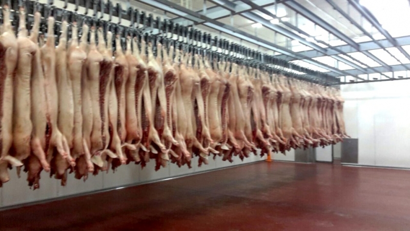 La Argentina podría duplicar sus exportaciones de carne porcina en solo dos años: Llegarían a 50 mil toneladas en 2021