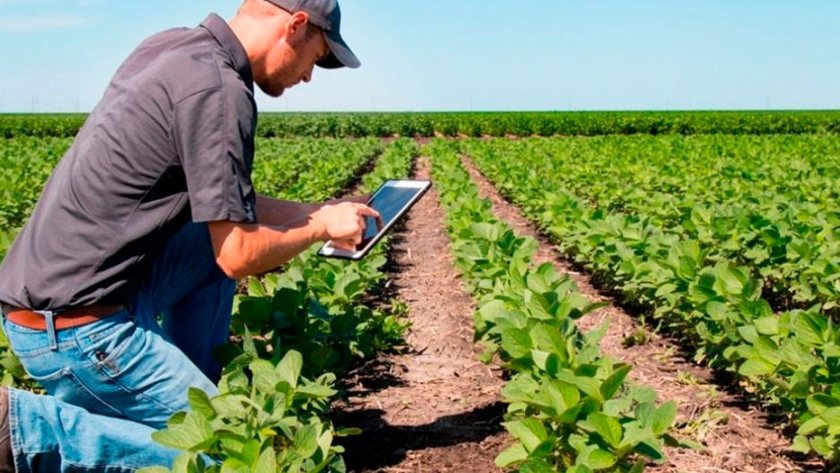 ¿Cuánto se paga la tonelada de carbono secuestrado por la agricultura?