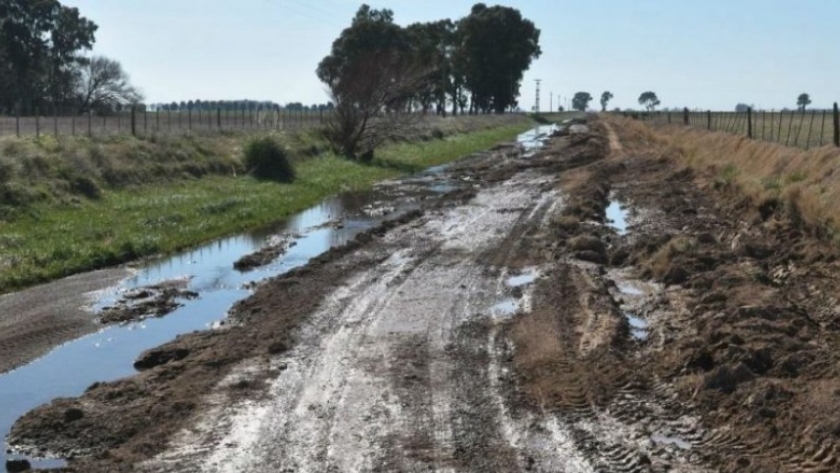 Agricultura invertirá 20 millones de pesos en caminos rurales