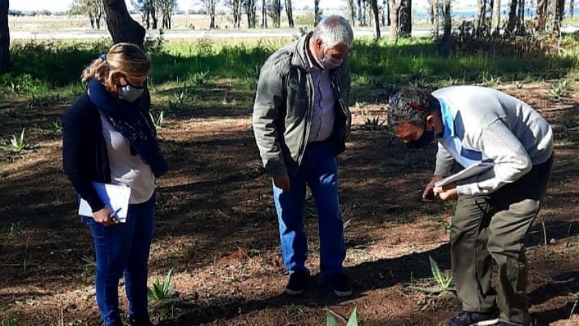 Funcionarios visitaron iniciativas productivas del interior provincial