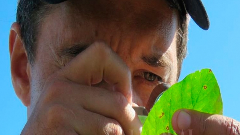 Llegó la agronomía de procesos
