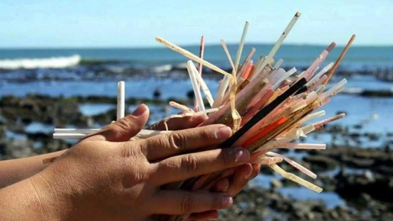 Día Mundial Sin Sorbete: pequeños cambios, grandes impactos ambientales