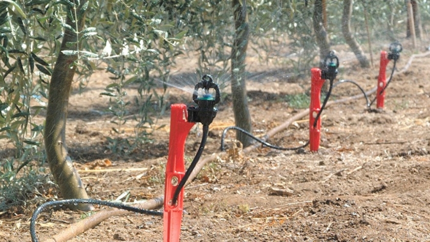 Cómo mejorar la productividad agrícola con el riego por aspersión