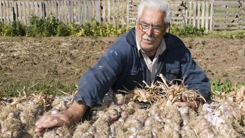 La Agricultura familiar en Santa Cruz, Patagonia Argentina: Caracterización de los núcleos agrícolas familiares