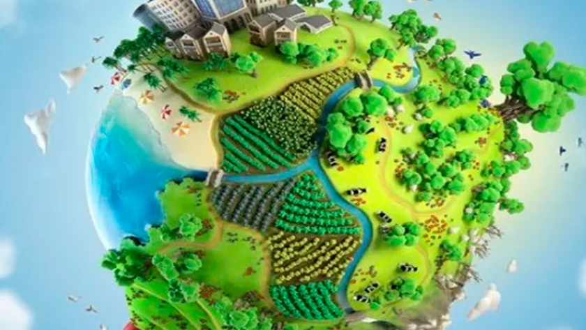 La cultura ciudadana, protectora del medio ambiente