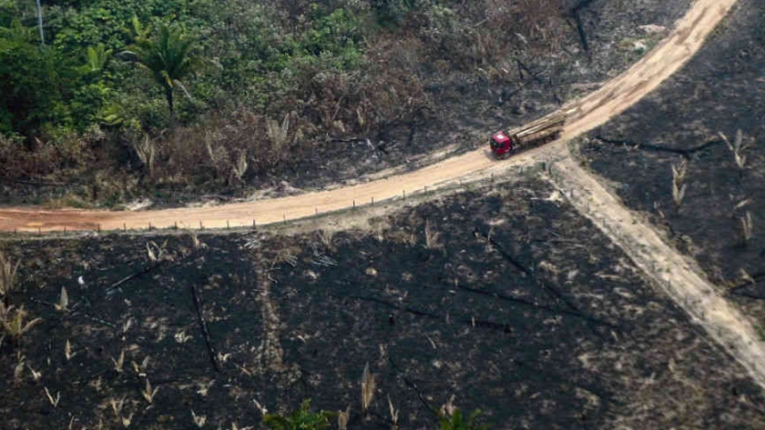 Reino Unido otorga más fondos para proteger la Amazonía