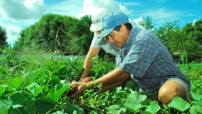 Promueven la formulación de proyectos para organizaciones de la Agricultura Familiar