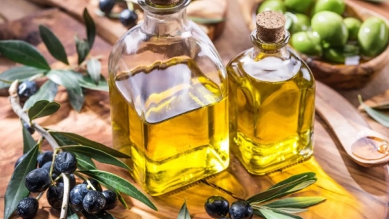 Chile conquista el mercado Japonés con su 'Oro Líquido': Descubre cómo el aceite de oliva Chileno se eleva ante una crisis global