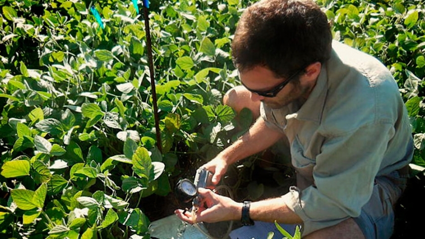 Cuáles son los cultivos agrícolas que más emiten gases de efecto invernadero 