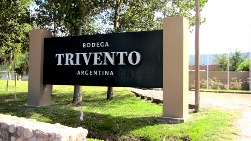 Vinos: Trivento es la marca argentina más vendida a nivel mundial
