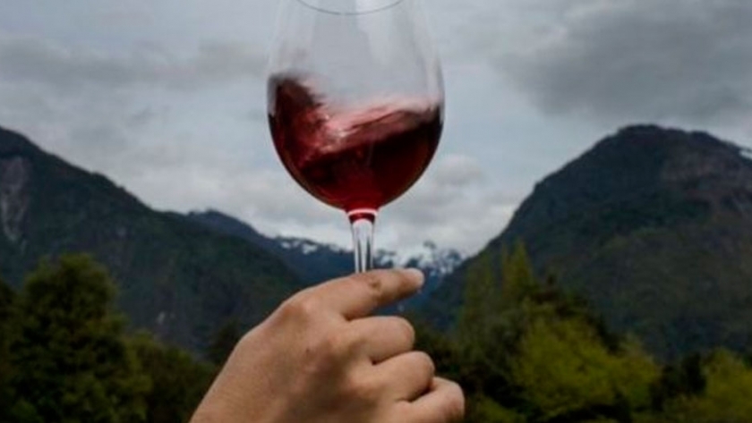 Cayó 30% el consumo de vino en la cuarentena