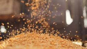 Qué pasó con los precios de la soja, el maíz y el trigo en el mercado de Rosario