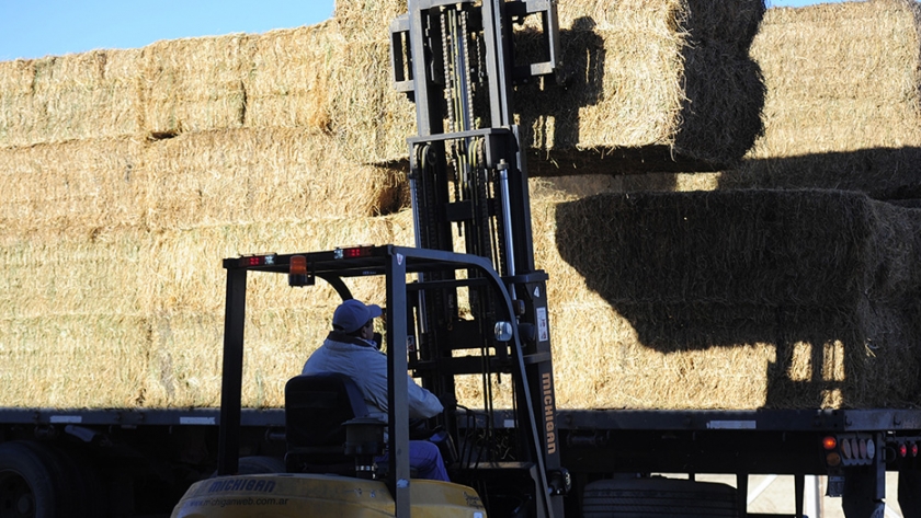La máquina compactadora de alfalfa permite ahorrar hasta un 30% en el costo del flete