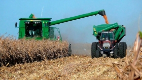 Maíz: se ralentizó la cosecha por falta de piso y para darle prioridad a la soja