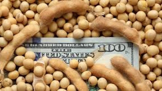 La agroindustria argentina marca otro hito: 53 productos logran su mejor desempeño exportador en siete años