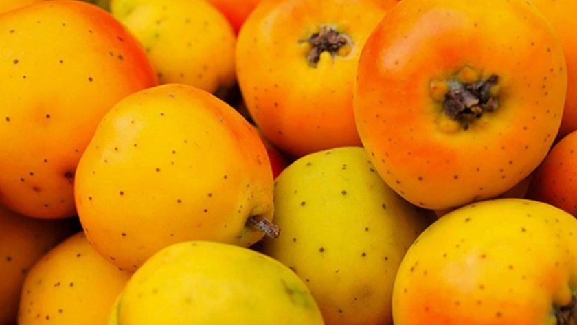 Fruta de temporada: tejocote