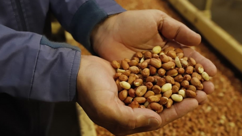 La planta agroindustrial Lorenzati Ruetsch ya cuenta con gas natural
