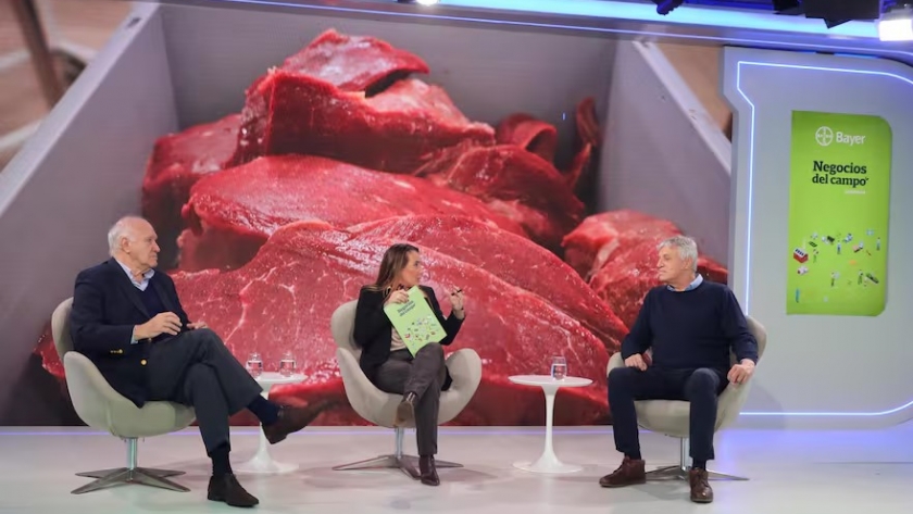 El futuro de la carne vacuna: crecimiento en exportaciones y desafíos internos