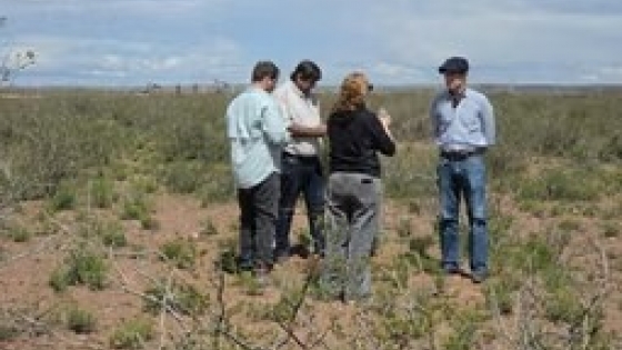 Riego en Neuquén: estudios para sumar tierras a la producción
