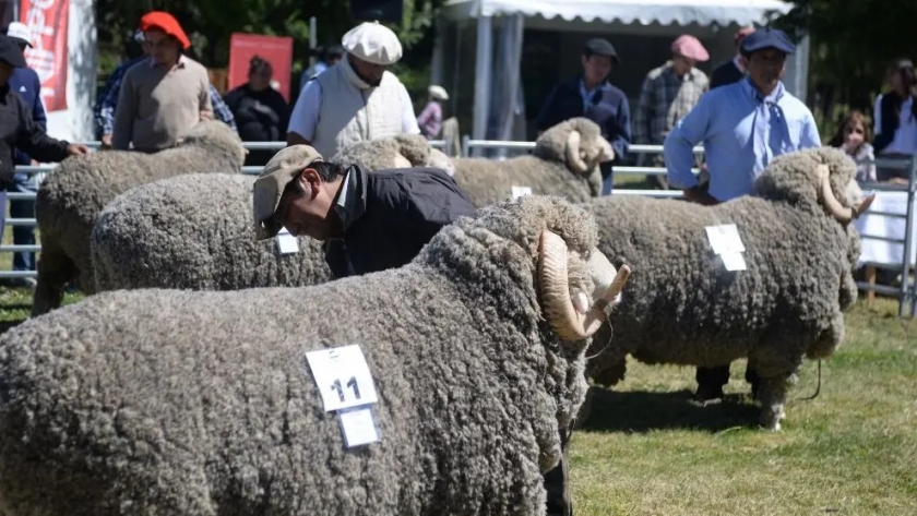 Expo Rural: la Sociedad Rural Bariloche celebra sus 80 años a lo grande