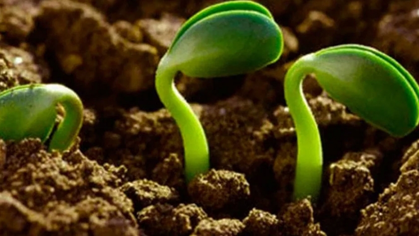 Las escuelas Agrotécnicas ya cuentan con el primer cuadernillo agroecológico