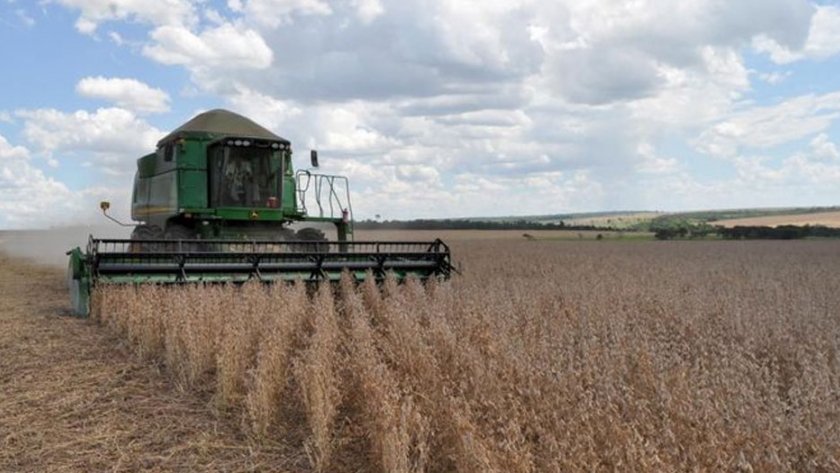 Técnica de integración agrícola y ganadera permite mejorar productividad de granos