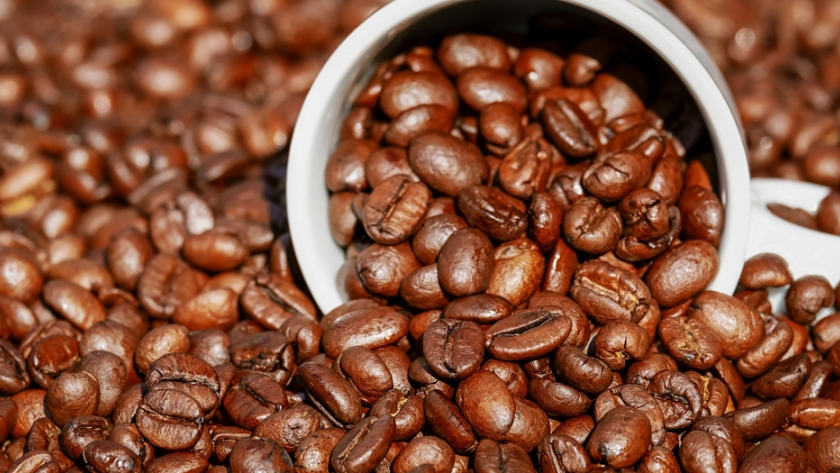 JNC: producción y exportaciones de café apuntan a ser mejores en 2021