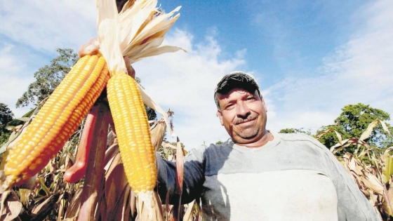 Productores de maíz y soja en Colombia exigen apoyo del Gobierno para poder sembrar