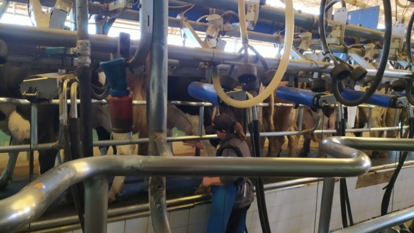 Los productores tamberos de Santa Fe defienden el pago por calidad de la leche, pero abandonaron la negociación con el gobierno: “Lo que se está haciendo es dilatar”