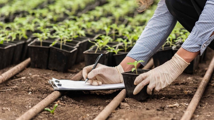 Mejores técnicas de cultivo para aumentar la productividad agrícola en Argentina